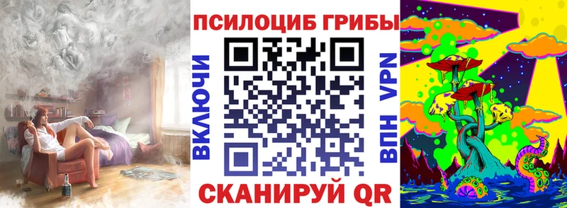 Галлюциногенные грибы Psilocybine cubensis  Елизаветинская 