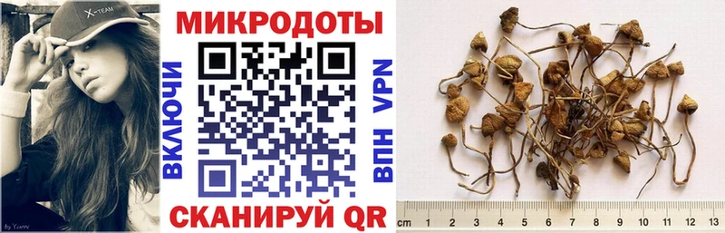 Псилоцибиновые грибы прущие грибы Елизаветинская